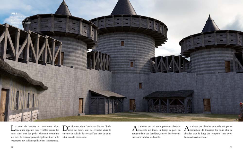 Chateau gailard reconstitué - Le livre